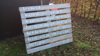 20141124_135401